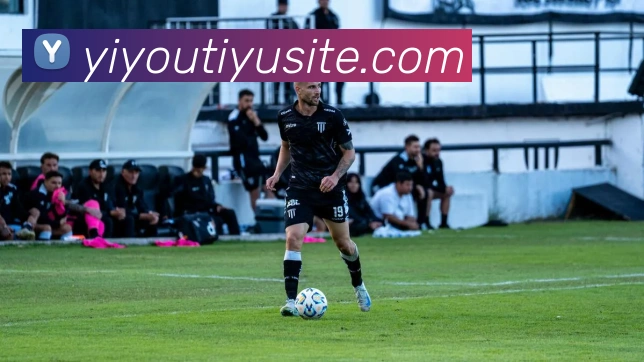 易游体育平台生态图